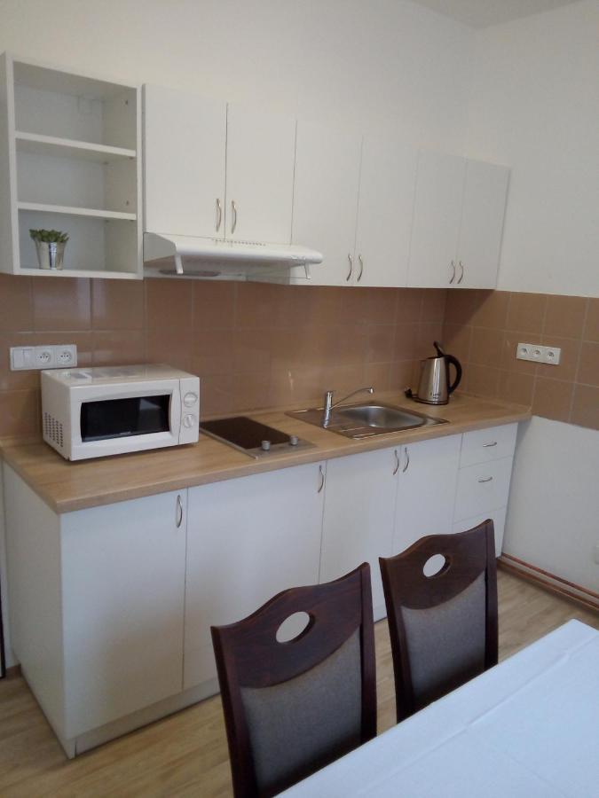 Apartman U Dubu Jablonné nad Orlicí Buitenkant foto